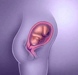 28 Haftalık Gebelik