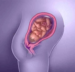 39 Haftalık Gebelikte Annede ve Bebekte Yaşanan Değişimler